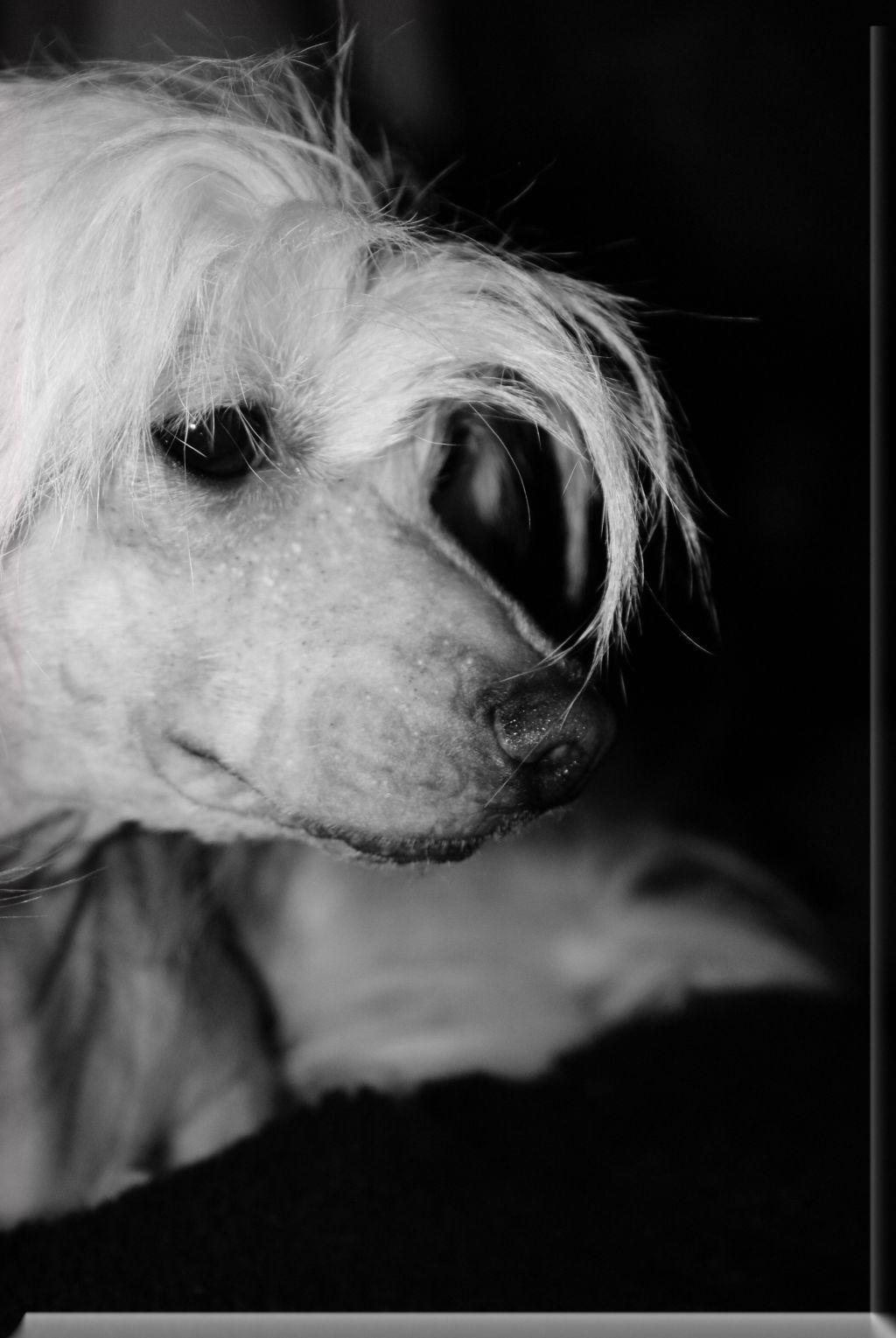 Eugenios Abrakadabra