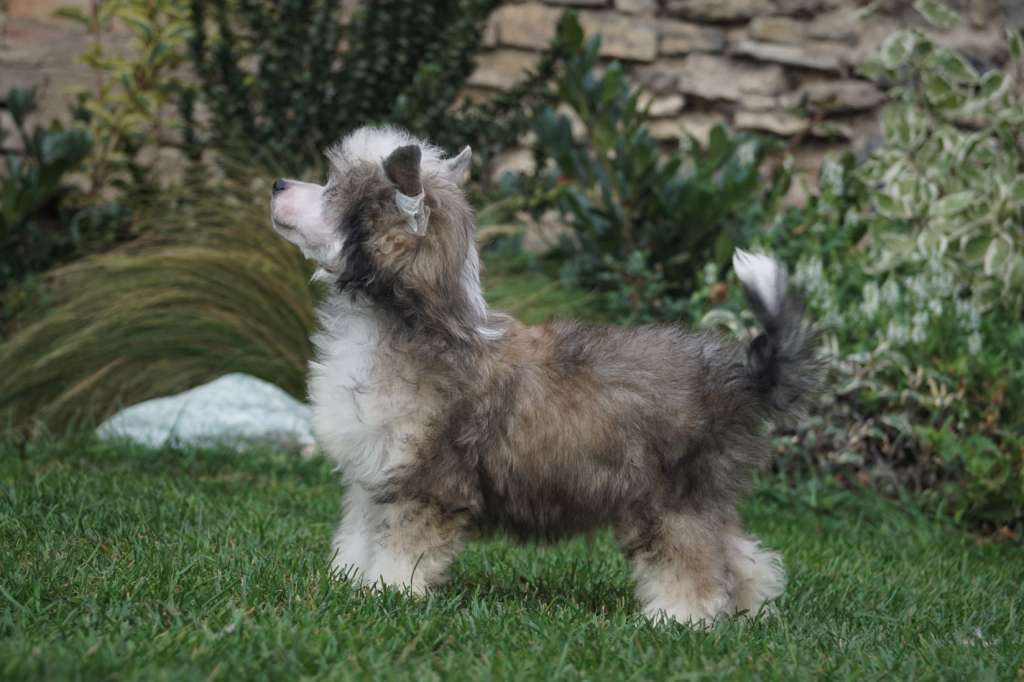 Uncharted Waters Heybett