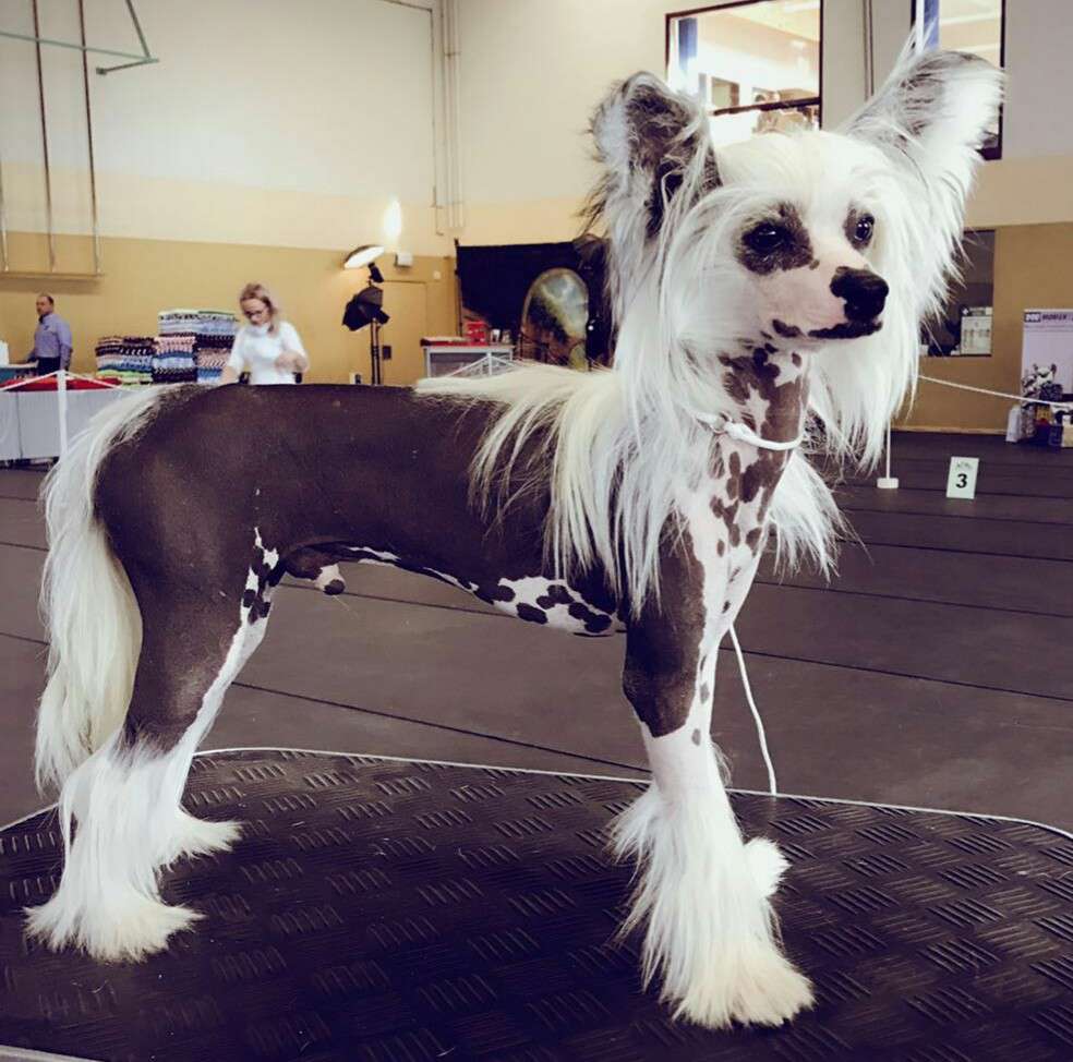 Cieran Pointi vom Apfelland