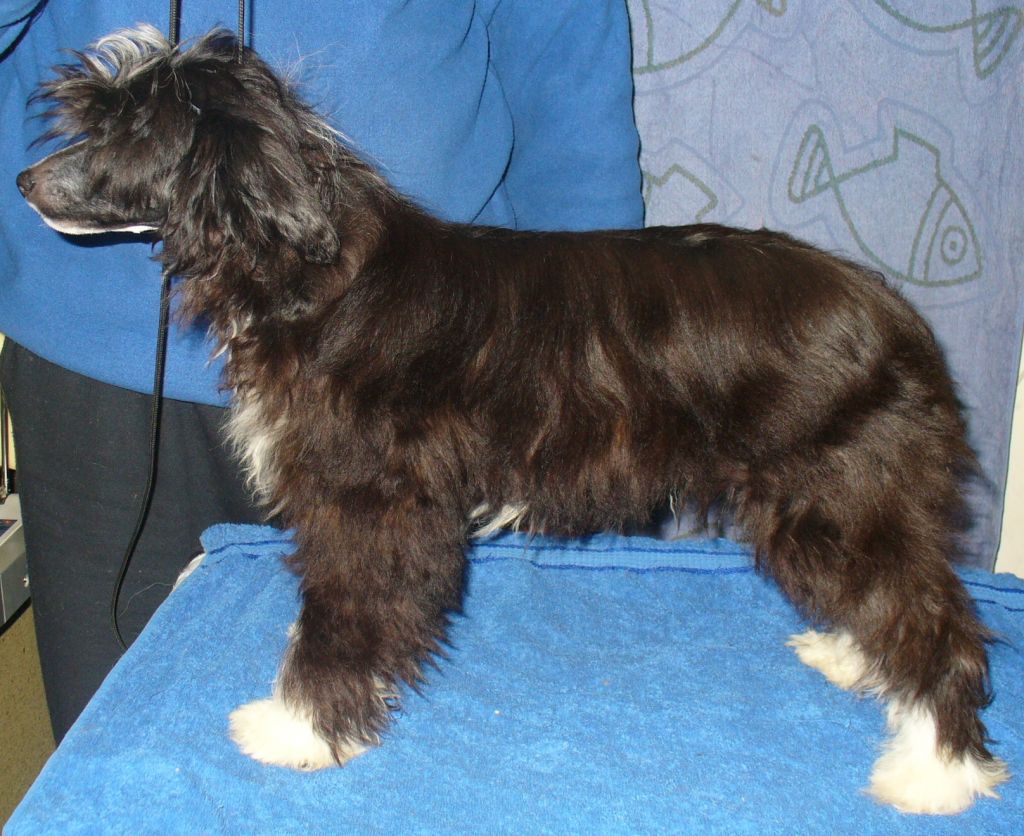 Fasto Armonia di Colori