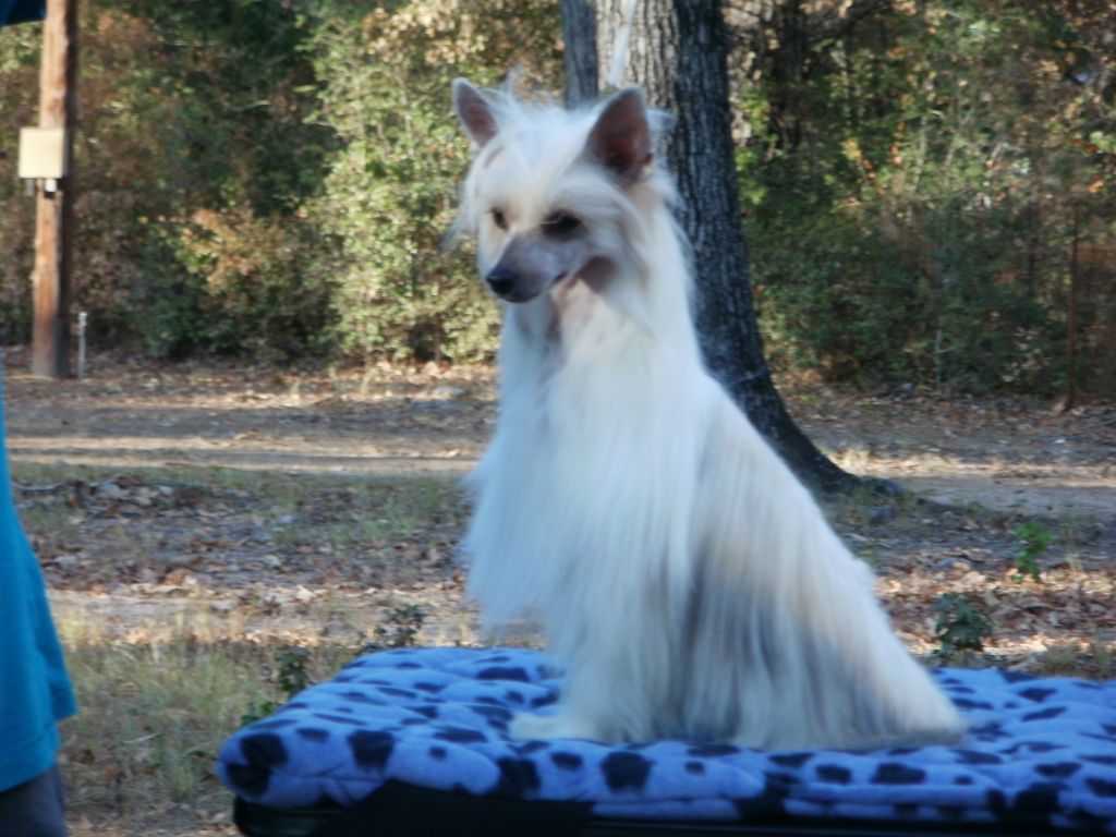 Explicit Say Yes To The Dress Kalan