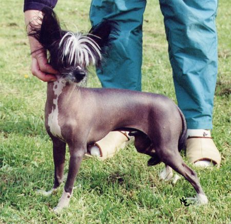 Crestwood Behaving Badly