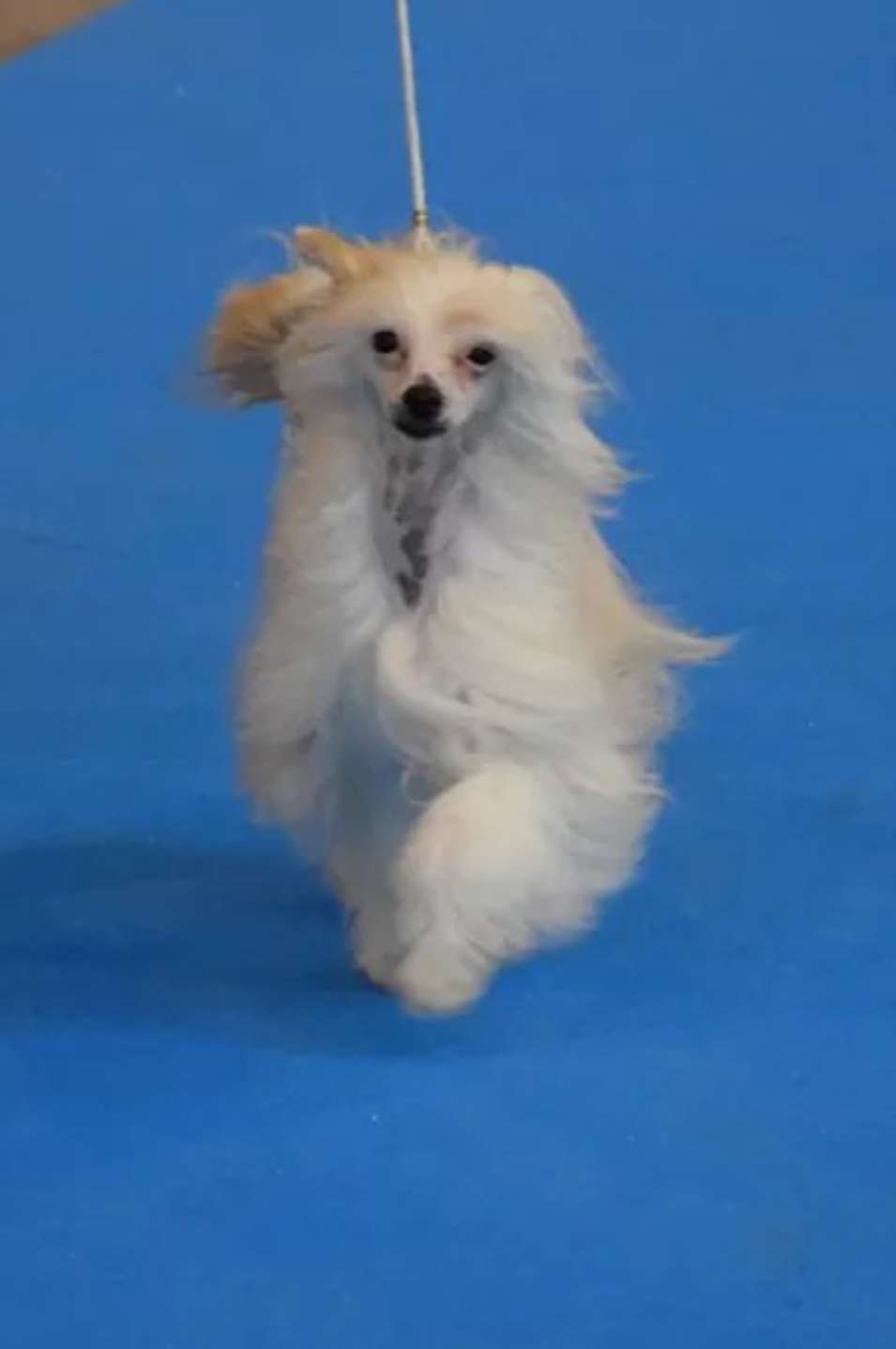 I'm a Barbie Girl des Bambins Tropéziens