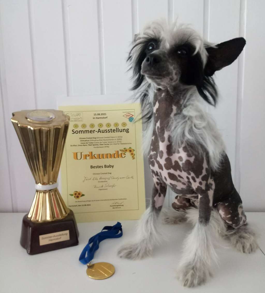 Just like Honey of Candymoor Castle