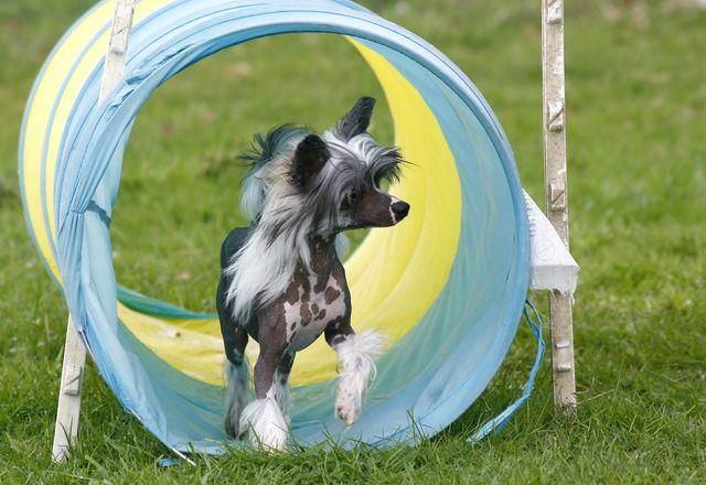 Kang Li Bao Diamond Place