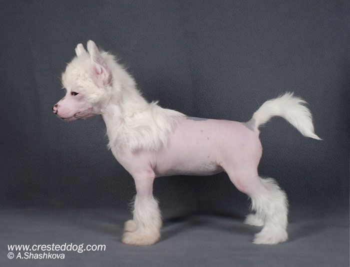 Angel Look Mirabella