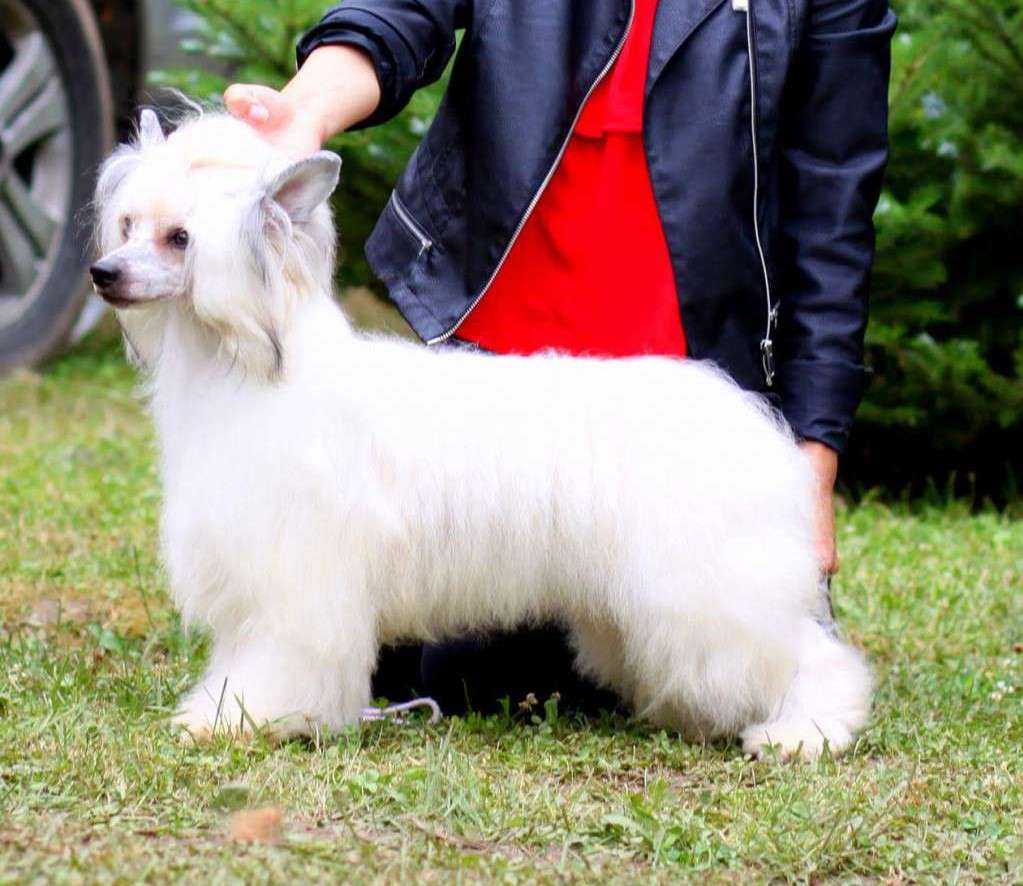 Essence of life Heybett