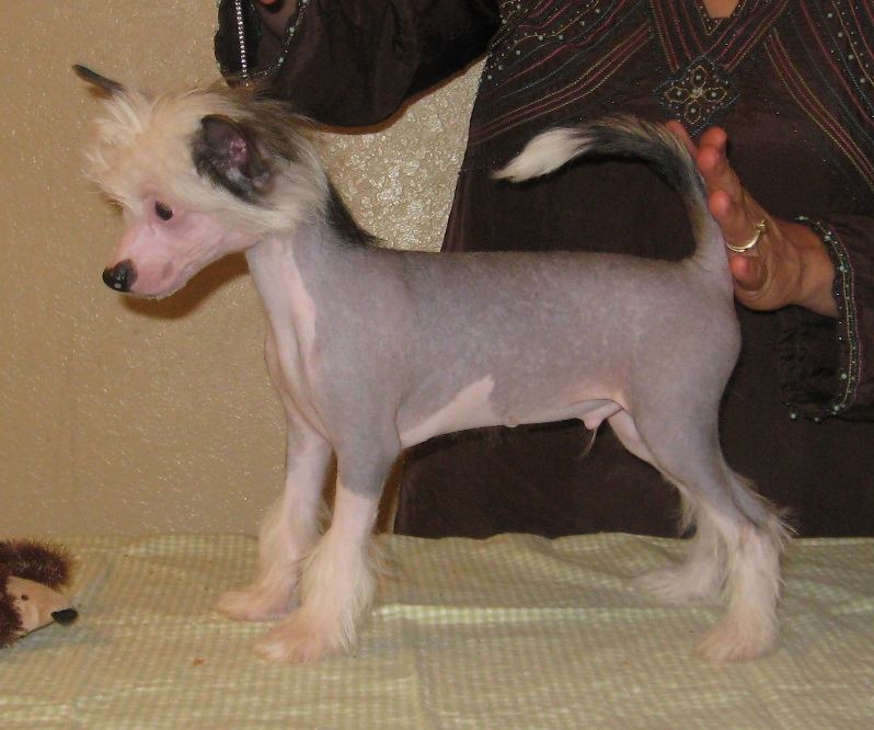 Shida The Trouble With Wizards