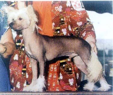 Sanuchar K Aus 'O Xu Fei