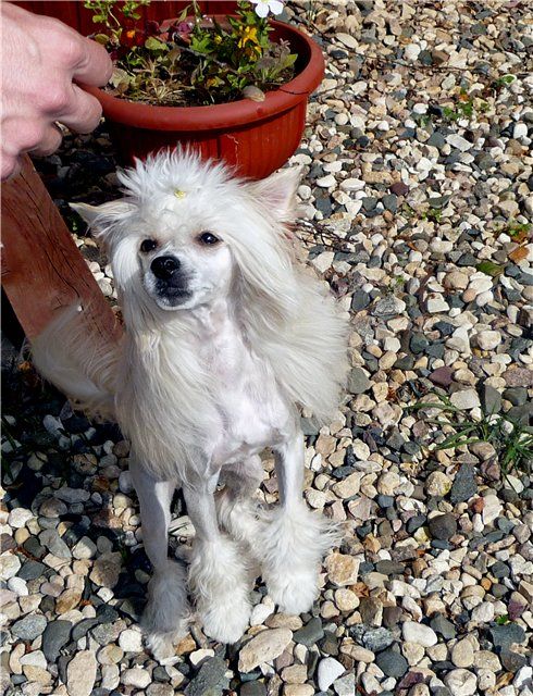 Endless Kiss Kevin Kingson