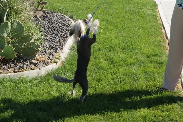Dokkum Beyond The Clouds