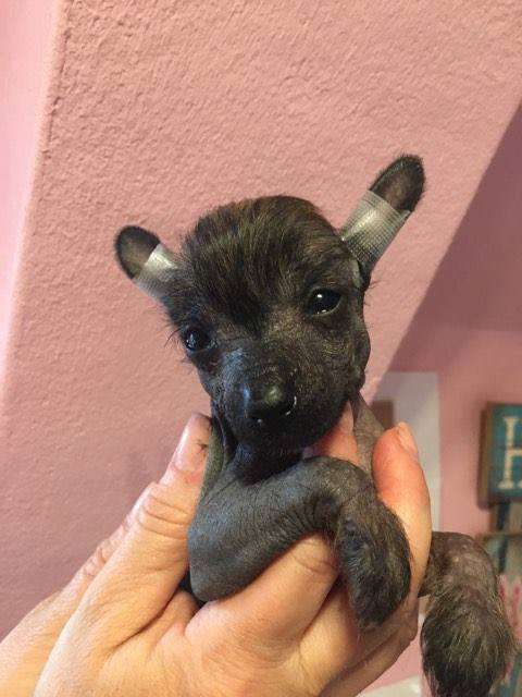 Campina Sweet Moments