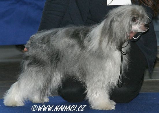 Casper Magni-Loquentia