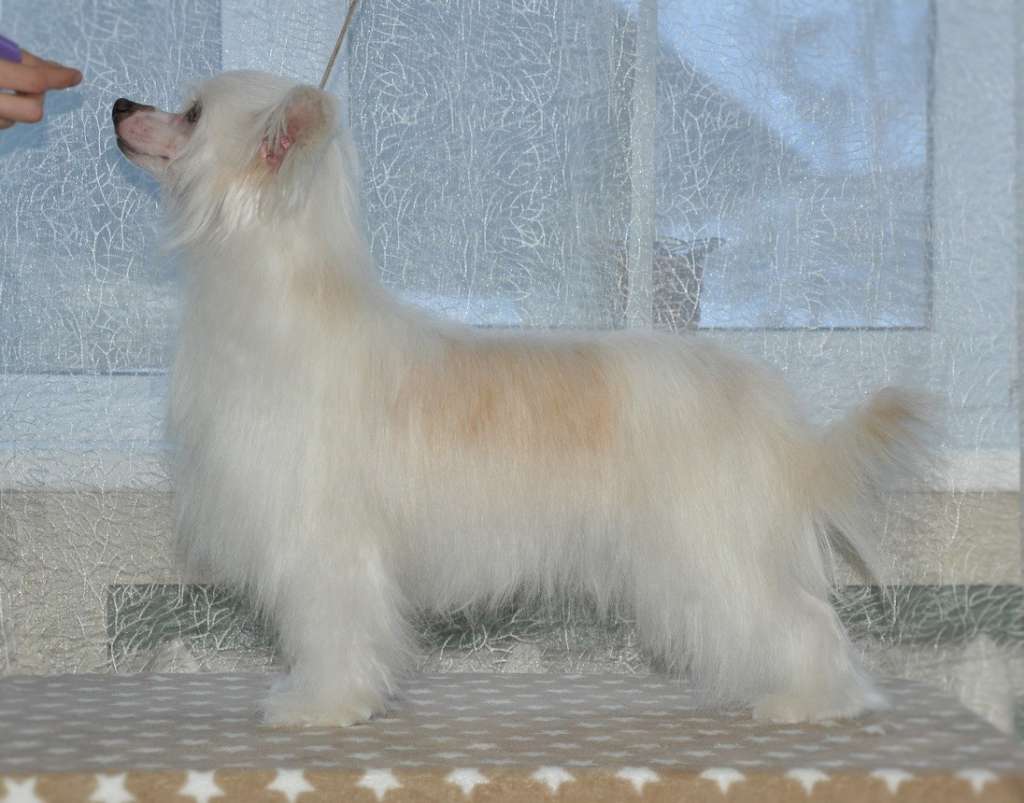 Donna Rose Winning Smile