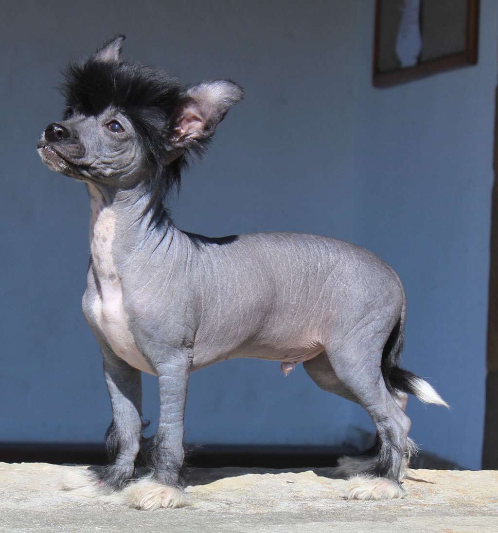 Esthetic blac de Almamasan