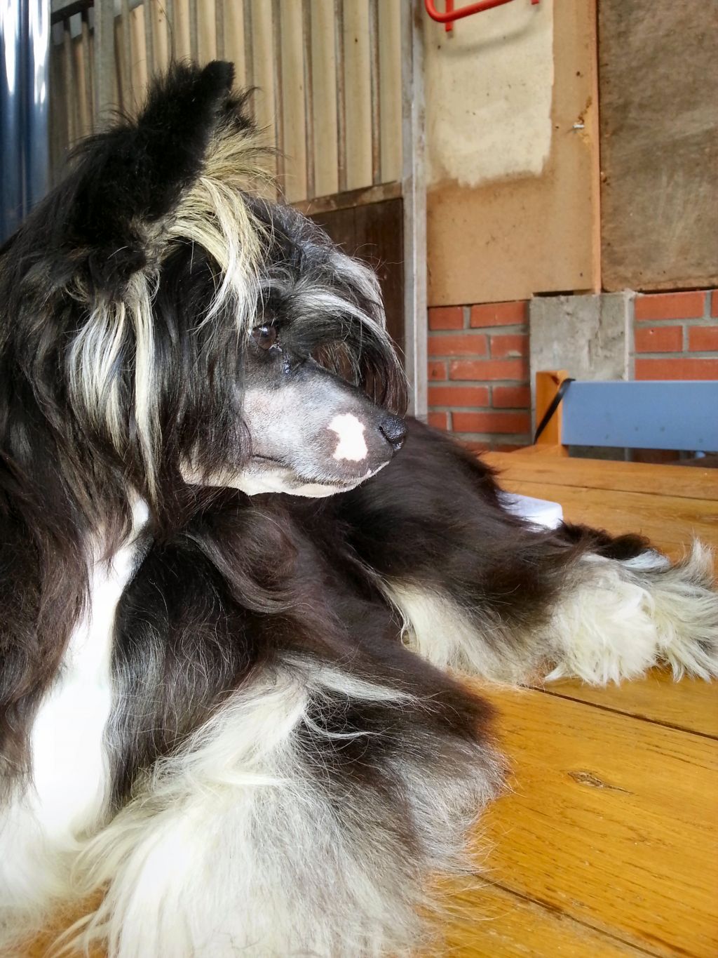 Happy Dancing Soul Spirit