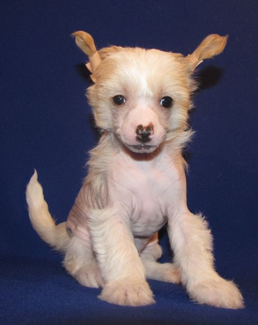 Naleks Art Jeannette