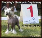  Blue Wing's Nemo Next Stop Norway