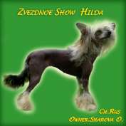 Zvezdnoe Show Hilda