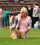 Ridgecrest's Flashy Girl Chinese Crested