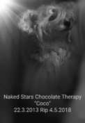 Naked Stars Chocolate Therapy