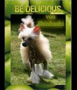 Be Delicious von Shinbashi