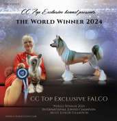 World Winner 2024.    Cc Top Exclusive Falco