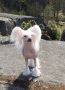 Zhannel's Pinup Girl Chinese Crested