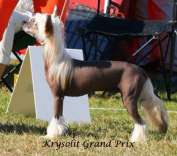 Krysolit Grand Prix