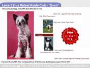 Lanart Blue Velvet Ksolo Club