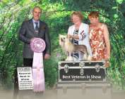 RBIS GCh Asti Exquisite Fur (Cantarell)