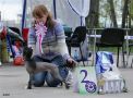 Diana Winner of Rings Chinese Crested