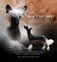 Argos' Legacy Harvey Chinese Crested