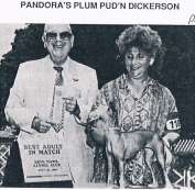 Pandora's Plum Pud'n Dickerson