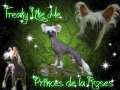 Freaky like Me Princes de la Roses Chinese Crested