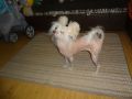 Lucia Kado Ophelia Chinese Crested