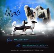 Olyuti's Atria New Star With Gattaca