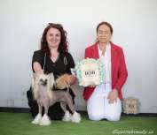 Xanna z Jasne hvezdy