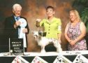 GCH Marquis Dancing At Copacabana HL Chinese Crested