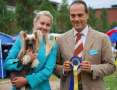 Chineseblue's Go With Success Chinese Crested