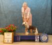 CH Absolute Silver Solino In The USA Chinese Crested