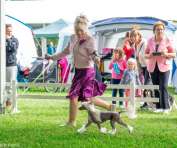 Cc Top Exclusive Hennessy Gold