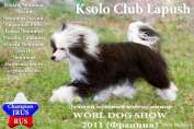 Ksolo Club Lapush