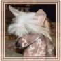 Redland's Flowering Inferno Chinese Crested