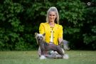 Karakush Baring It All For Art Chinese Crested