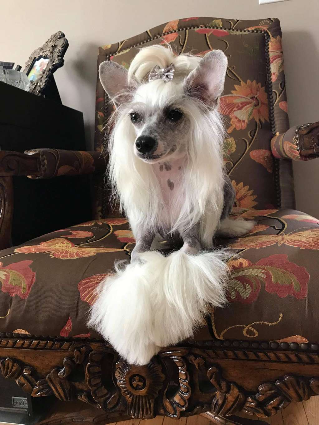 Landkris Ask For More