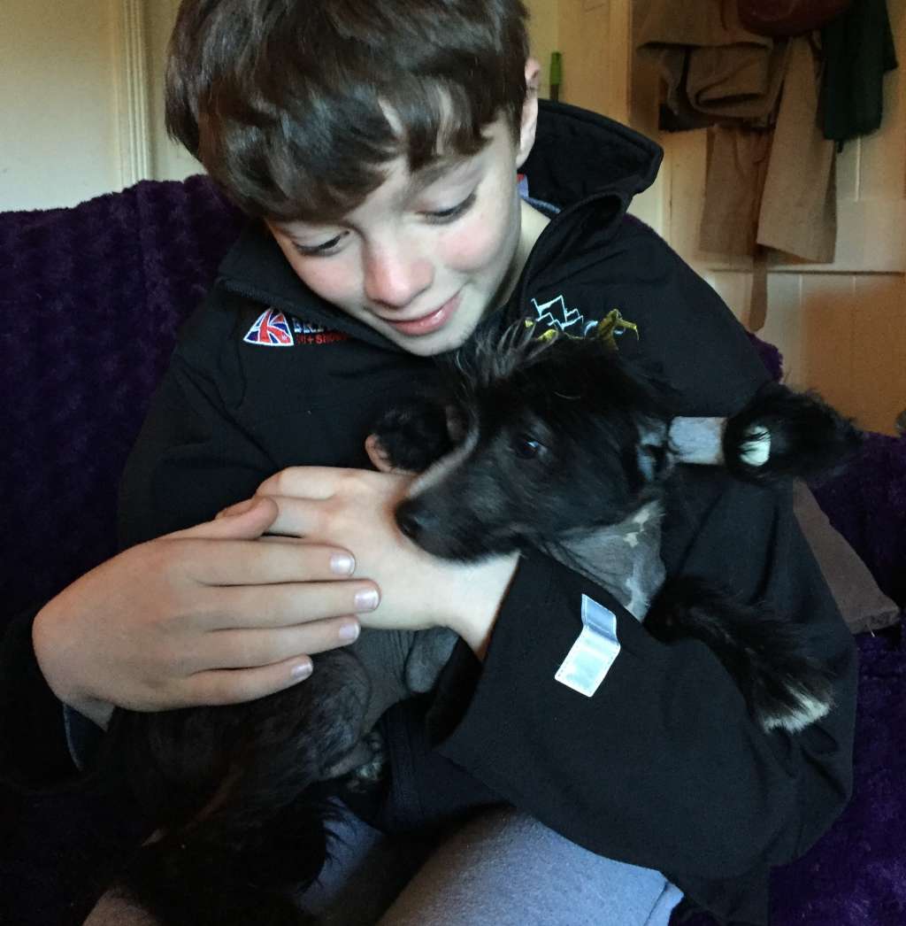 Scherzando Rebell Yell