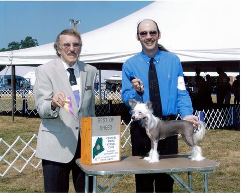 Wild Horses Sweet Judy Blue Eye