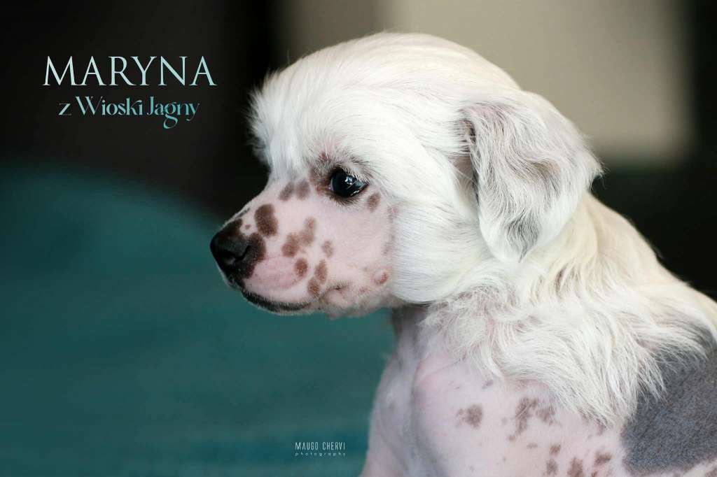 Maryna Z Wioski Jagny