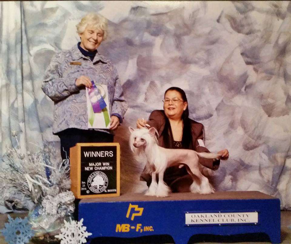 Am CH Jade Zhangshi Jingshen